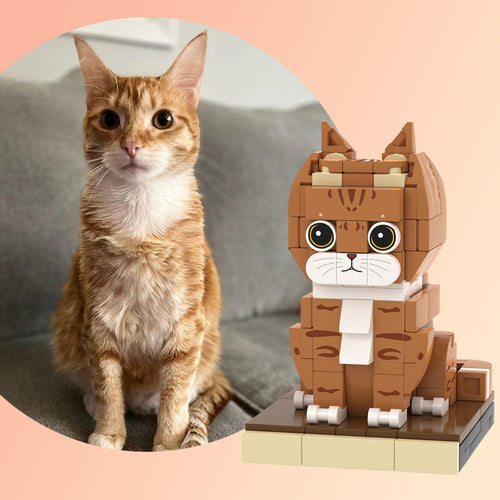 Custom Orange Cat Brick Figures Fully Body Customizable 1 Cat Photo Small Particle Block Customized Cat Only