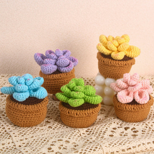 Succulent Crochet Potted Plants Completed Hand Woven Knitted Potted Plants Gift for Handicraft Lover - SantaSocks
