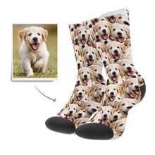 Custom Photo Socks Face Mash Dog Socks