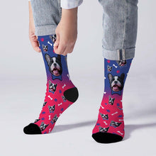 Dog Gradient Color Socks Pet Face On Socks