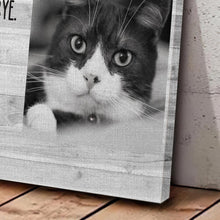 Pet Loss Gifts Personalized Cat Memorial Frame Cat Bereavement Gift Pet Sympathy Gift Pet Loss Frame