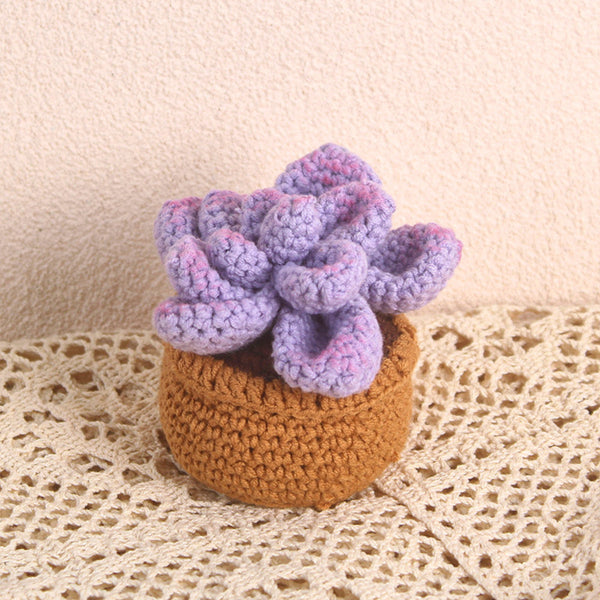 Succulent Crochet Potted Plants Completed Hand Woven Knitted Potted Plants Gift for Handicraft Lover - SantaSocks