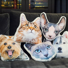 Custom Pet Photo Face Pillow 3D Portrait Pillow-heads